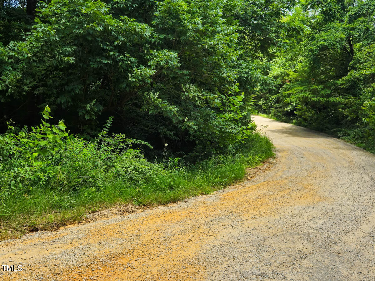 0 Green Pasture Lane Ruffin, NC 27326 - Photo 20 of 32 Caswell Co. 1.54- Gokce-04