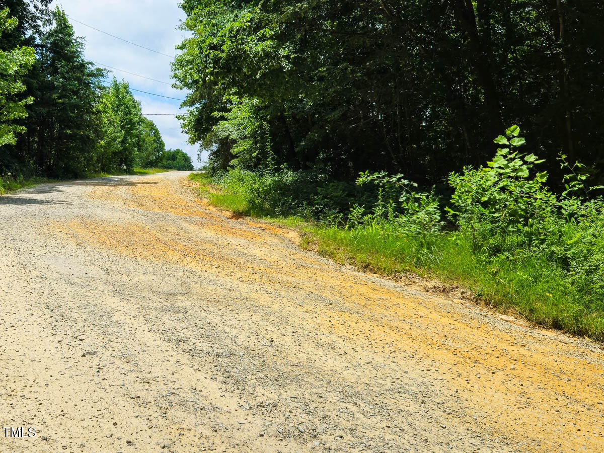 0 Green Pasture Lane Ruffin, NC 27326 - Photo 27 of 32 Caswell Co. 1.54- Gokce-11