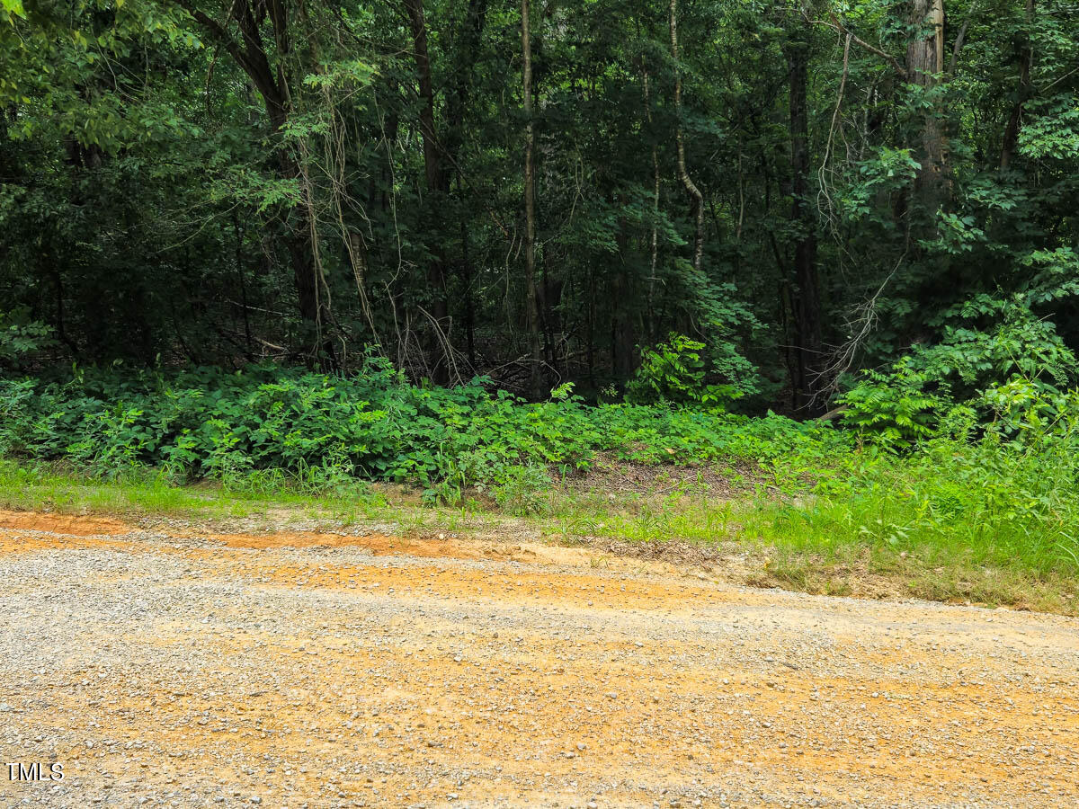 0 Green Pasture Lane Ruffin, NC 27326 - Photo 29 of 32 Caswell Co. 1.54- Gokce-13
