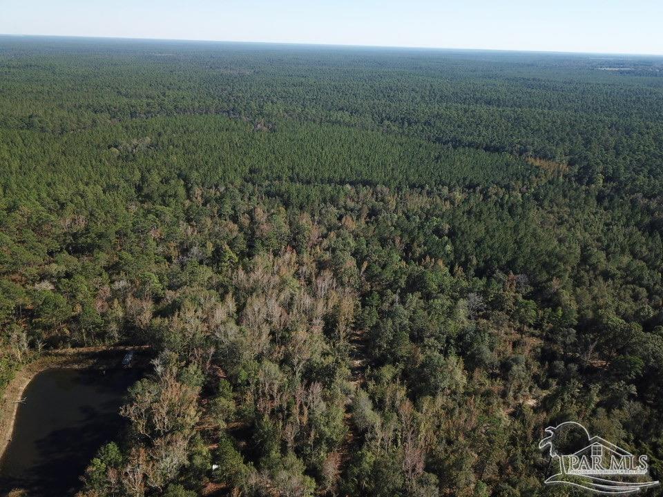 85-acres Wiley Scott Road Jay, FL 32565 - Photo 9 of 9