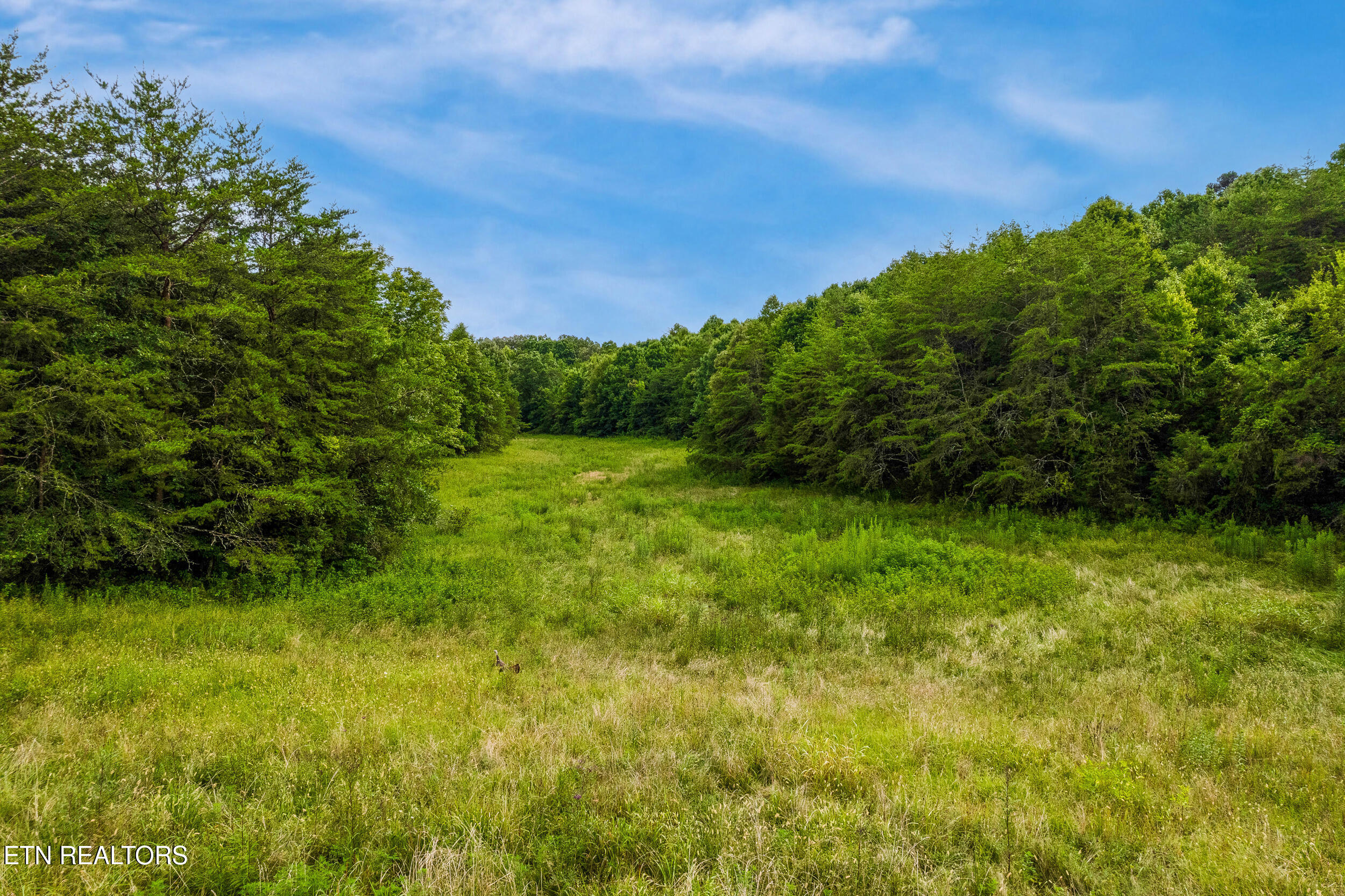 Alex Bales Road Kodak, TN 37764 - Photo 5 of 5 21_021