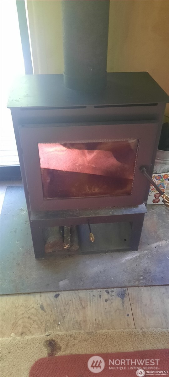 8444 South Cascade Road Marblemount, WA 98267 - Photo 19 of 30 a close view of fireplace