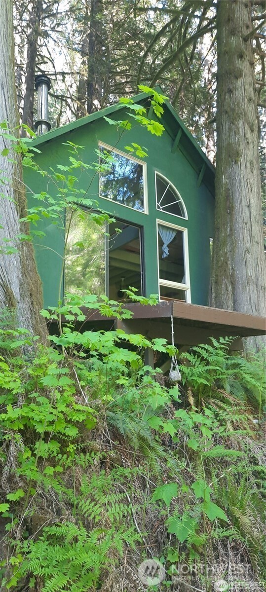 8444 South Cascade Road Marblemount, WA 98267 - Photo 2 of 30 a view of a house with a yard