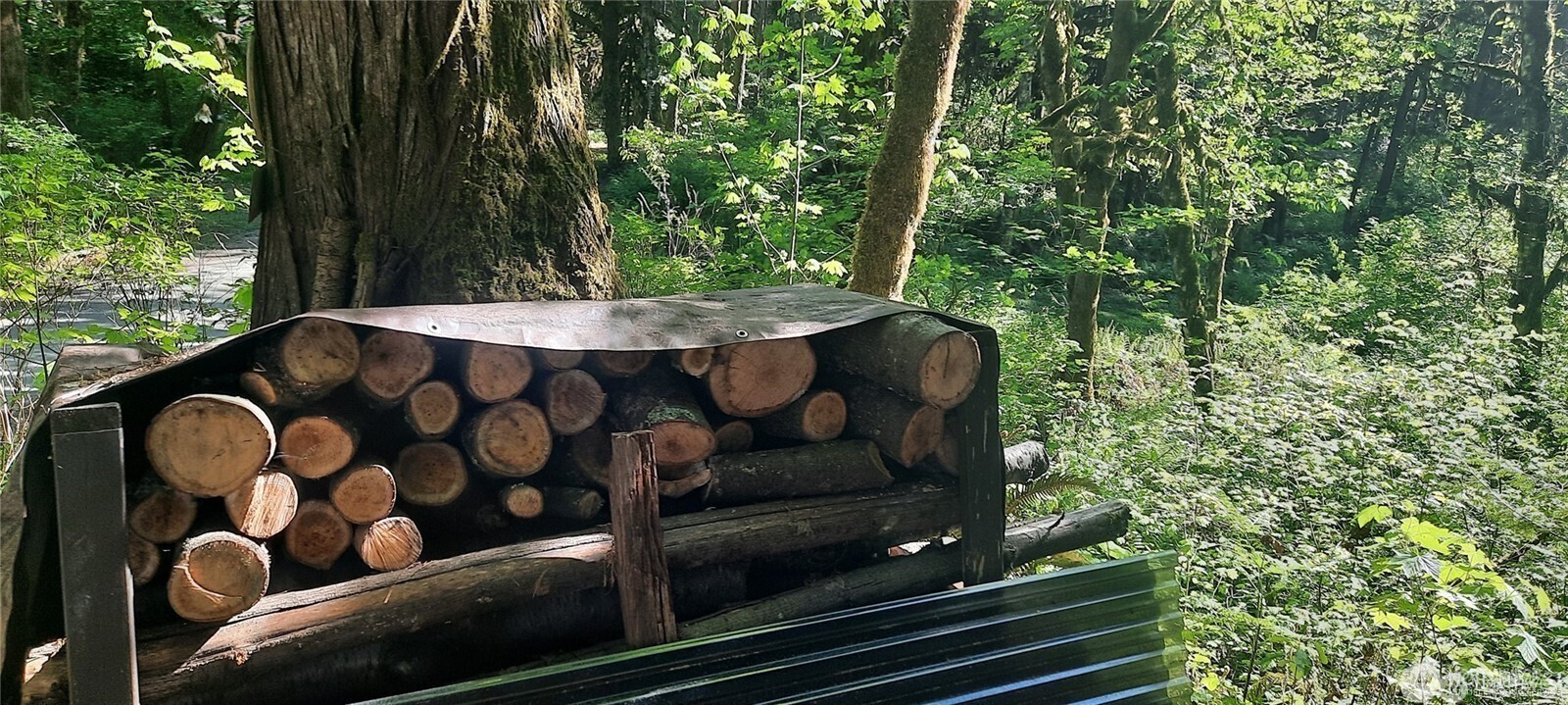 8444 South Cascade Road Marblemount, WA 98267 - Photo 23 of 30 a wooden bench sitting in forest