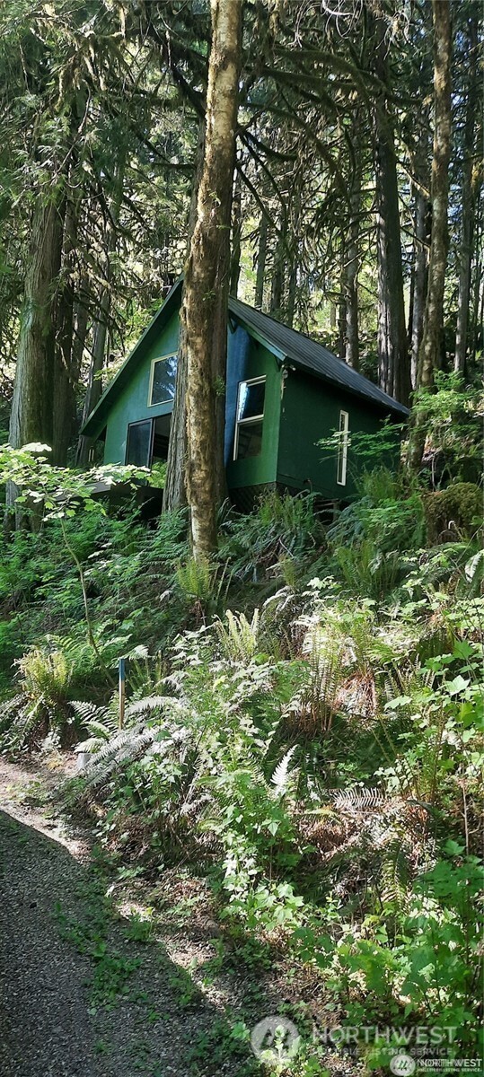 8444 South Cascade Road Marblemount, WA 98267 - Photo 24 of 30 a backyard of a house with lots of green space