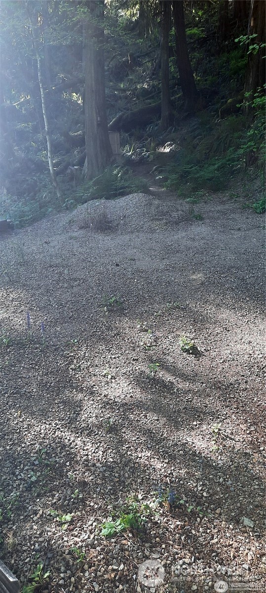 8444 South Cascade Road Marblemount, WA 98267 - Photo 26 of 30 a view of a yard with large trees