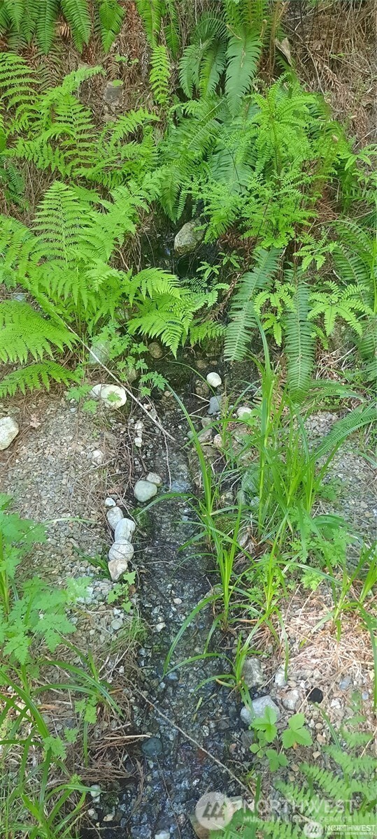 8444 South Cascade Road Marblemount, WA 98267 - Photo 27 of 30 a view of a garden