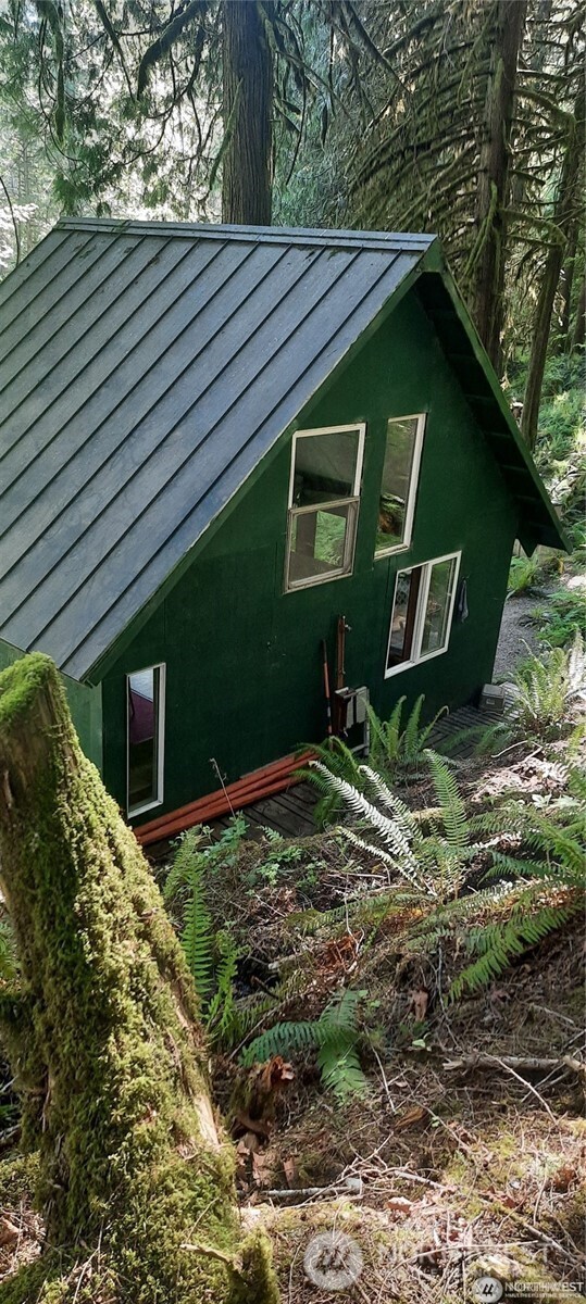 8444 South Cascade Road Marblemount, WA 98267 - Photo 30 of 30 a backyard of a house with large trees