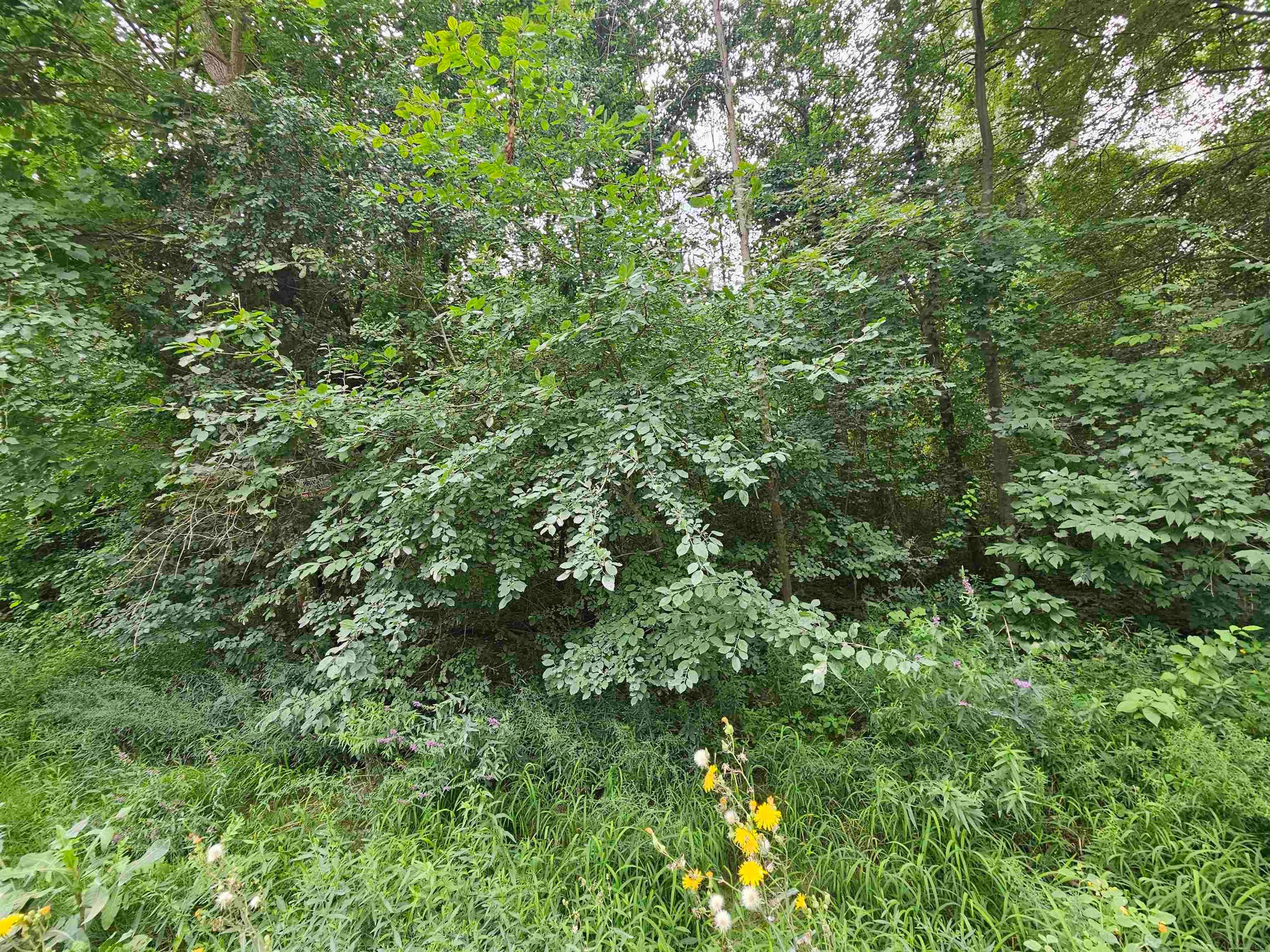14080 31 Mile Road Washington, MI 48095 - Photo 5 of 6 Gallery Image 5