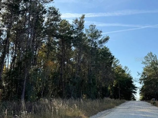 $359,900 | 791 Southeast 142 Avenue, Williston, FL 32696