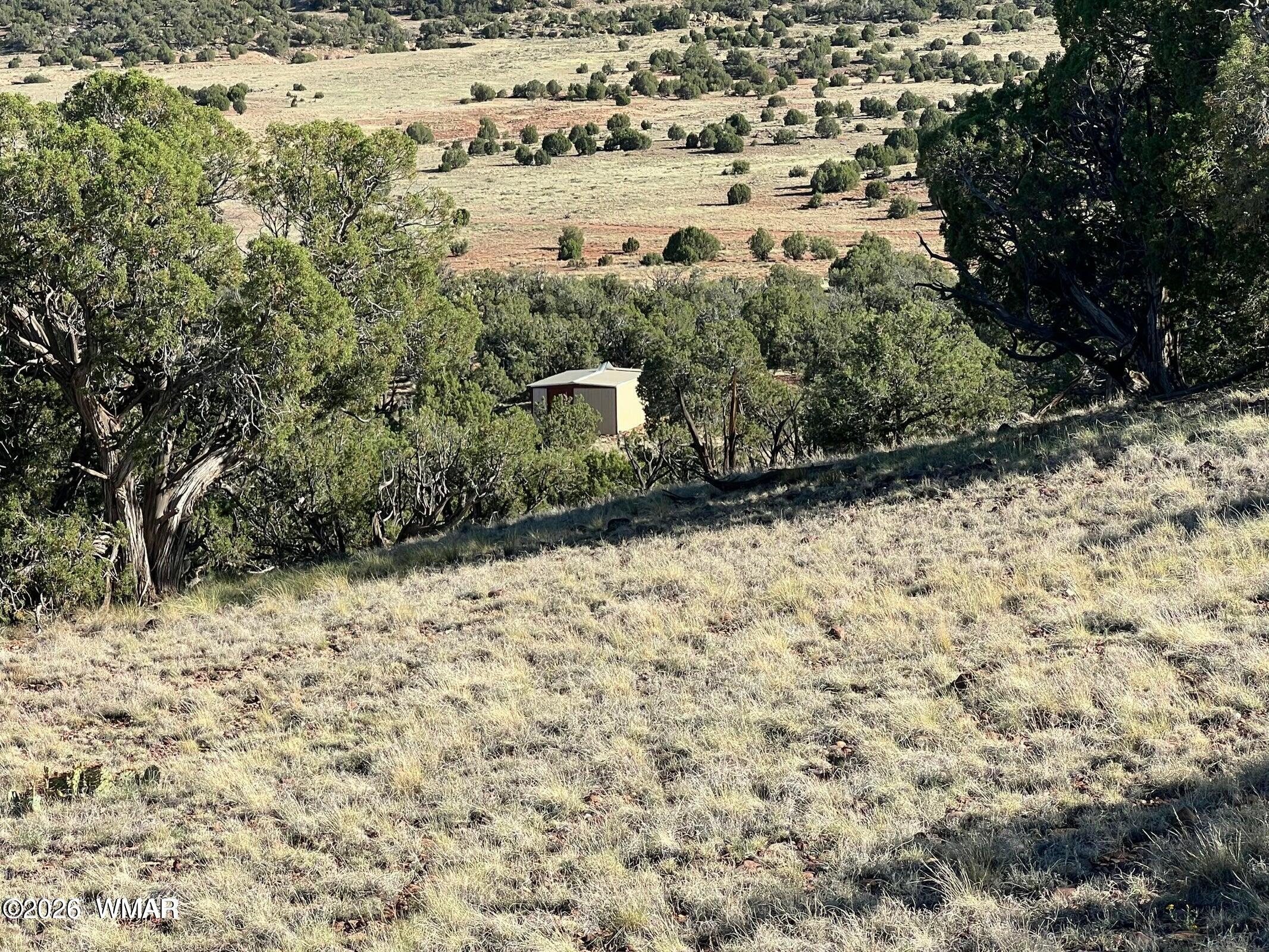 2 N8604 Concho, AZ 85924 - Photo 11 of 19 Shed 5
