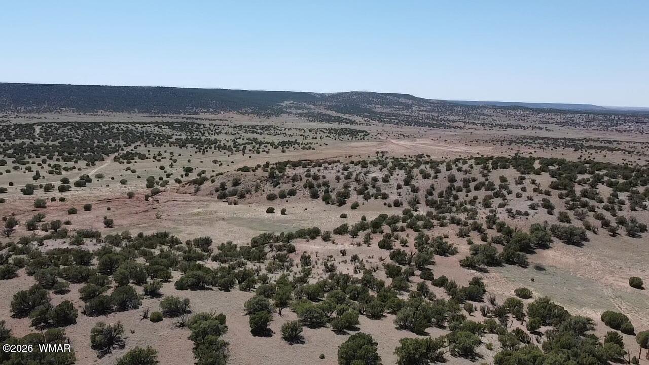 2 N8604 Concho, AZ 85924 - Photo 18 of 19 Drone 7