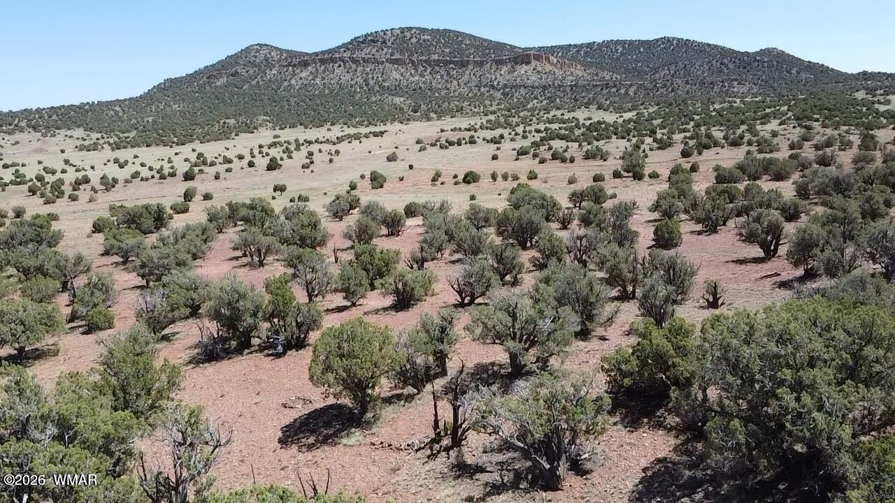 2 N8604 Concho, AZ 85924 - Photo 3 of 19 Drone 5