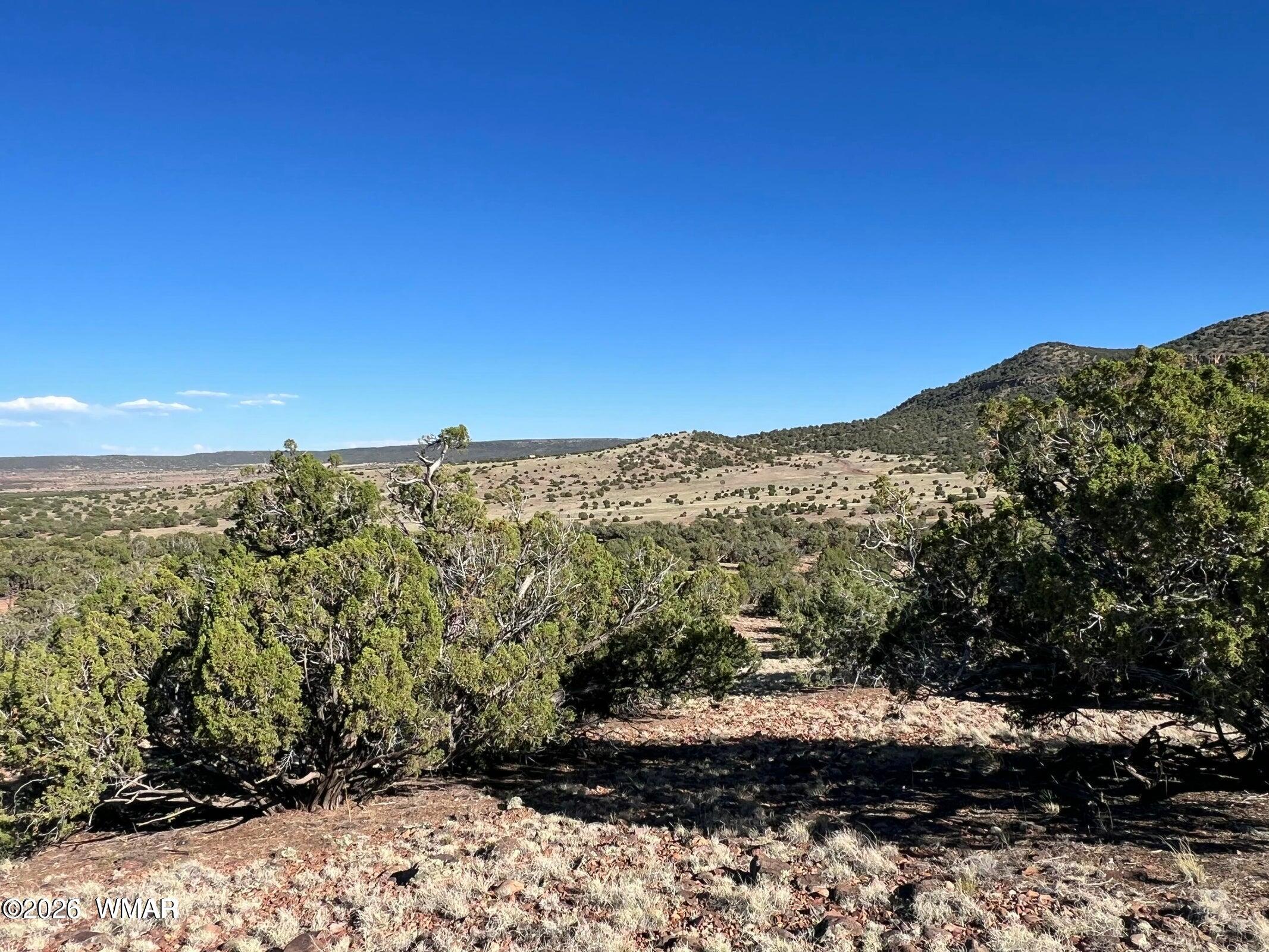 2 N8604 Concho, AZ 85924 - Photo 7 of 19 Pic 1