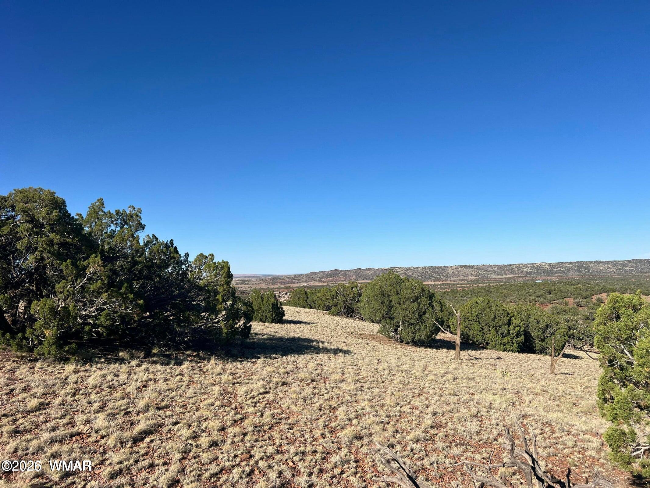 2 N8604 Concho, AZ 85924 - Photo 10 of 19 Pic 6