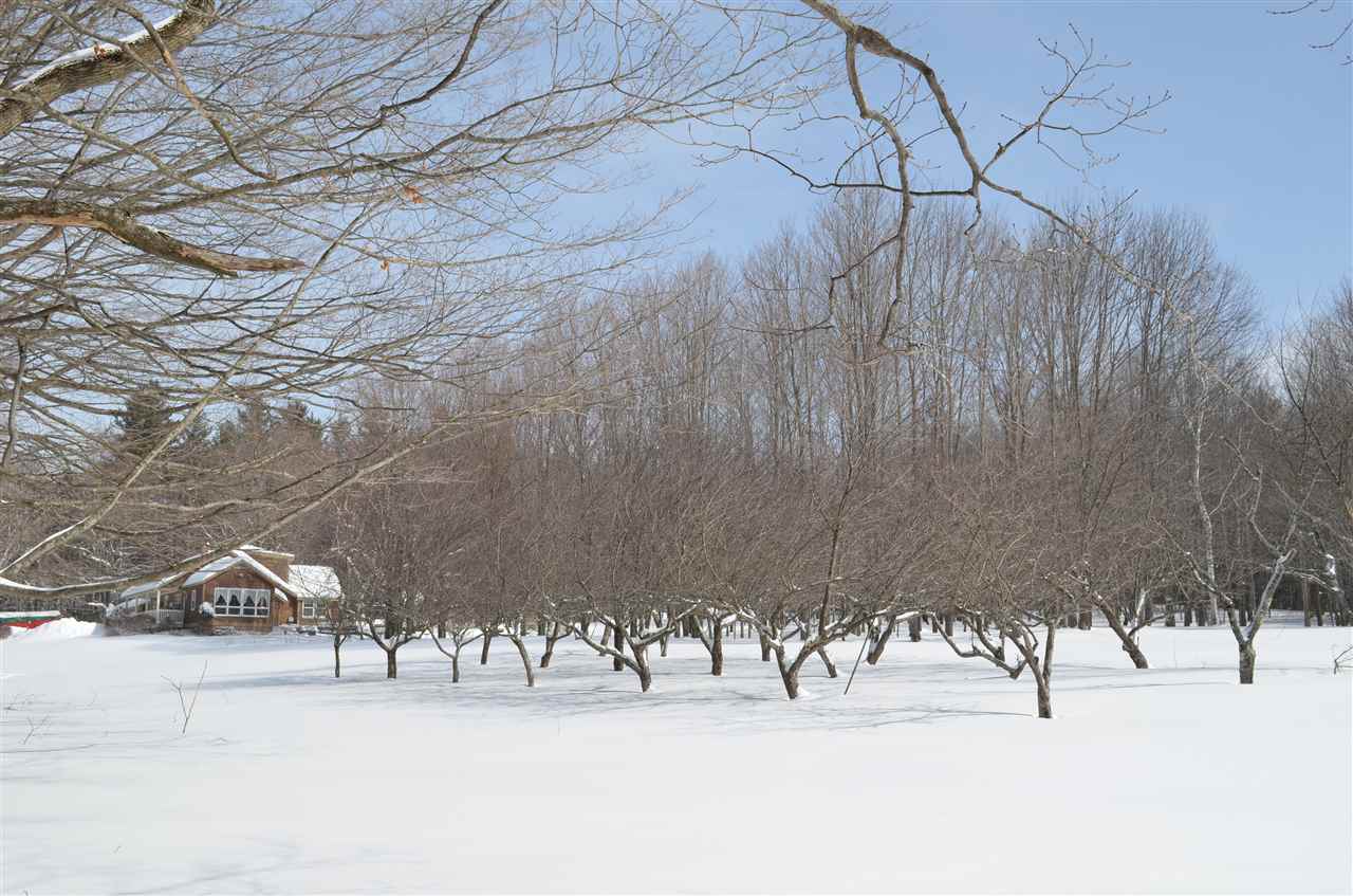 1771 South Hill Road Ludlow, VT 05149 - Photo 38 of 39