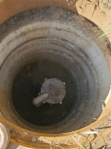 a view of a lush green forest with large trees