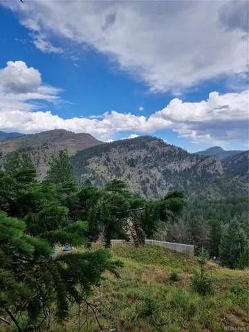 a view of a forest filled with trees