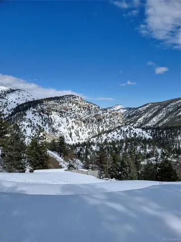 a view of a yard with trees