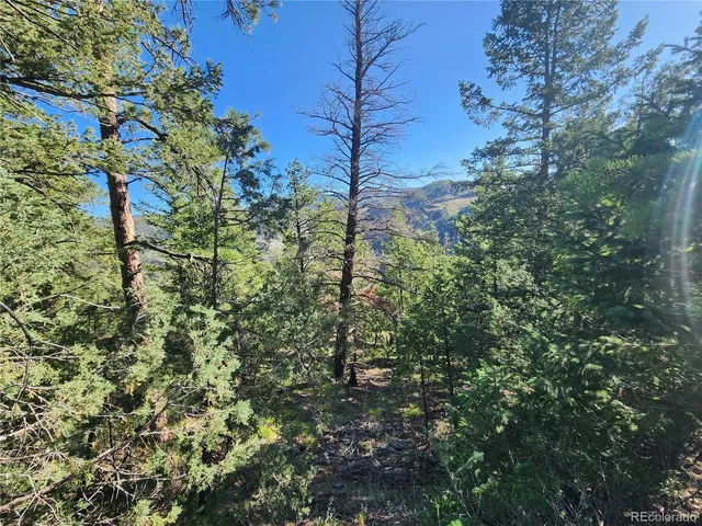 a view of outdoor space with trees all around
