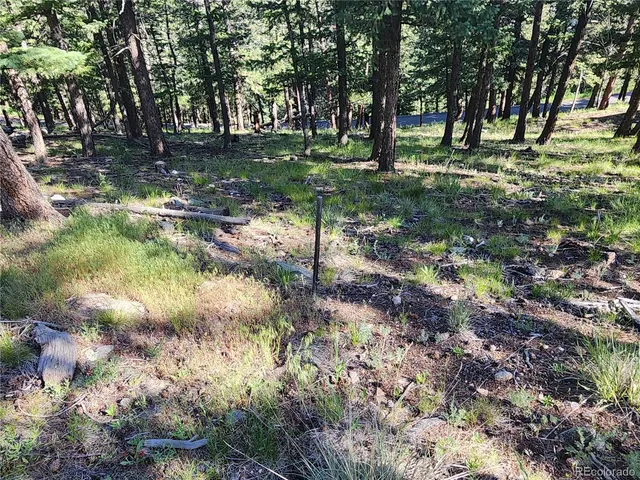 a view of a town with mountains in the background