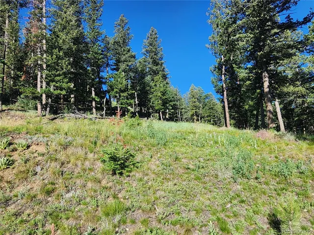 a view of a garden with a tree