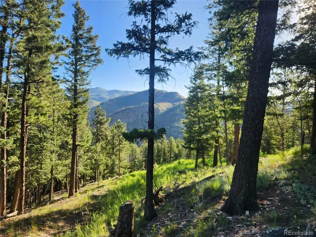 a green field with lots of bushes