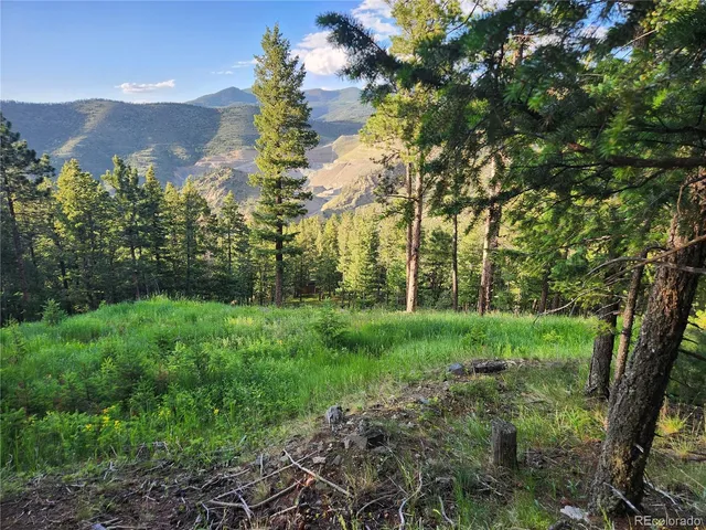 a view of yard with green space and trees