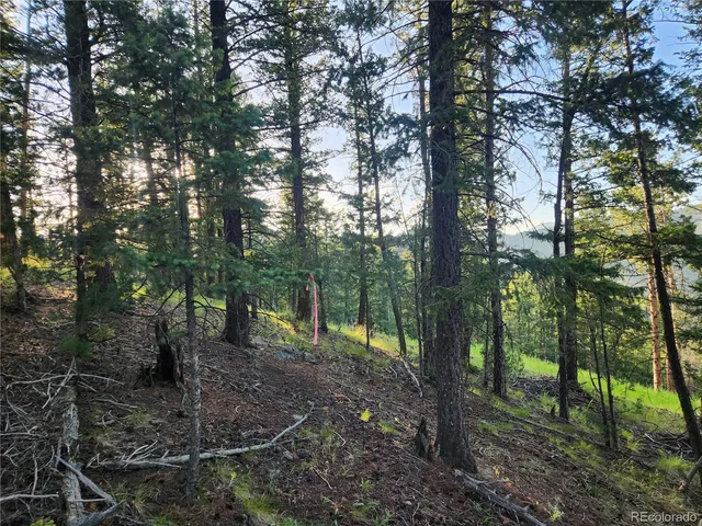 $150,000 | 900 Elk Valley Drive, Evergreen, CO 80439