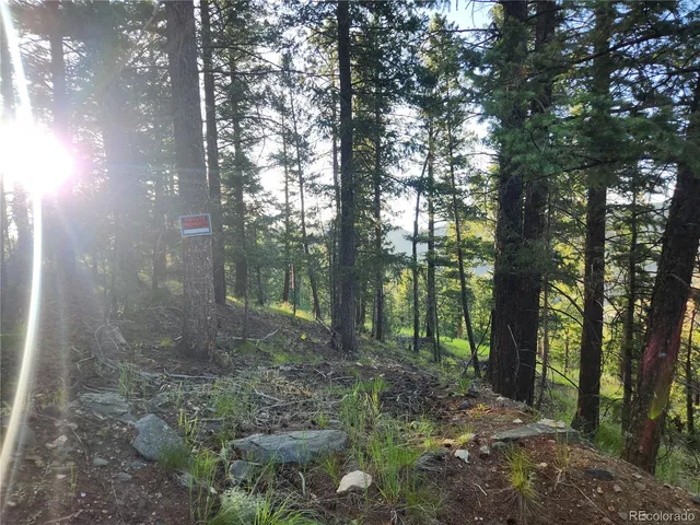 $150,000 | 900 Elk Valley Drive, Evergreen, CO 80439