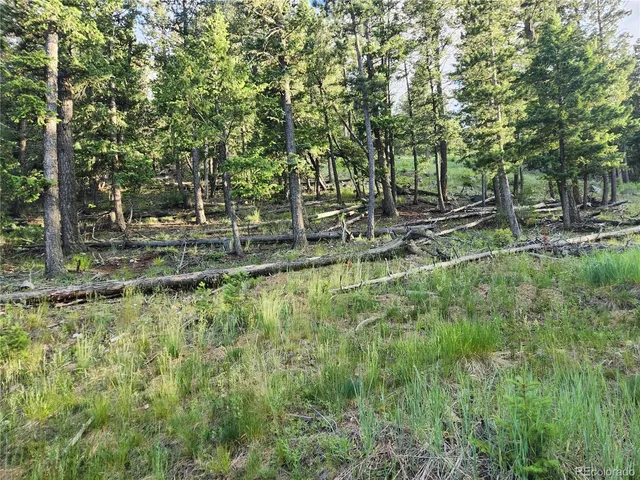 $150,000 | 900 Elk Valley Drive, Evergreen, CO 80439
