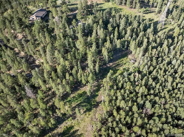 a view of a city with lush green forest