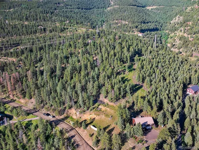 a view of a garden with plants