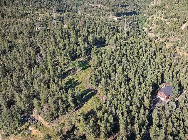 a view of a yard with plants and wooden fence