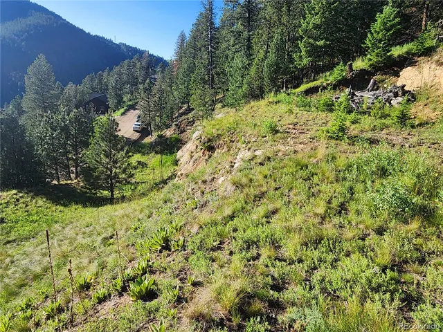 a view of a yard with a tree