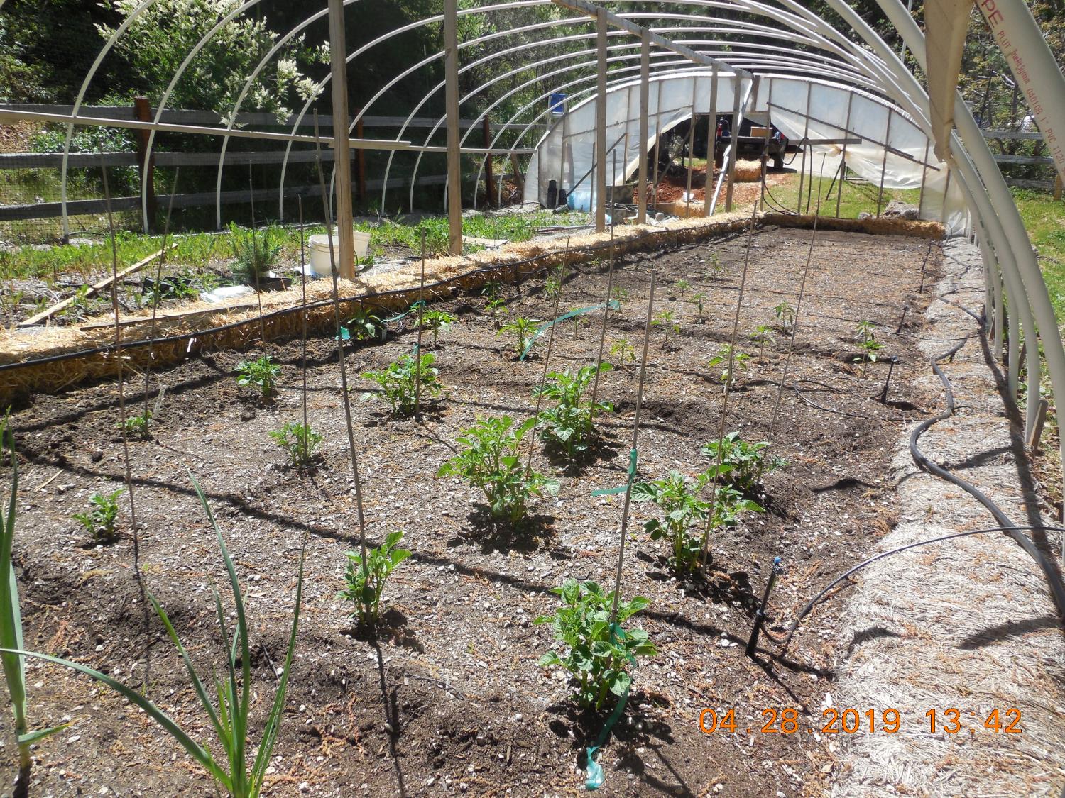 6067 Sheep Ranch Road Murphys, CA 95247 - Photo 11 of 44