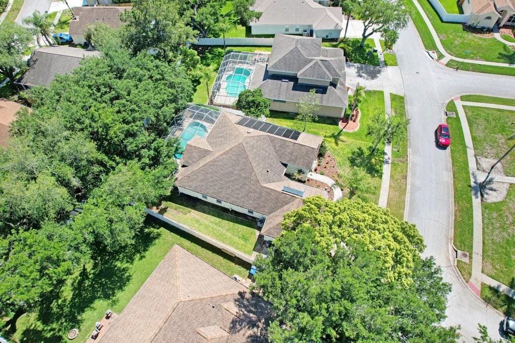 3026 Partridge Point Trail Valrico, FL 33596 - Photo 12 of 55