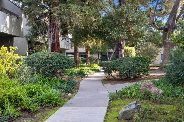a view of a pathway with flower plants