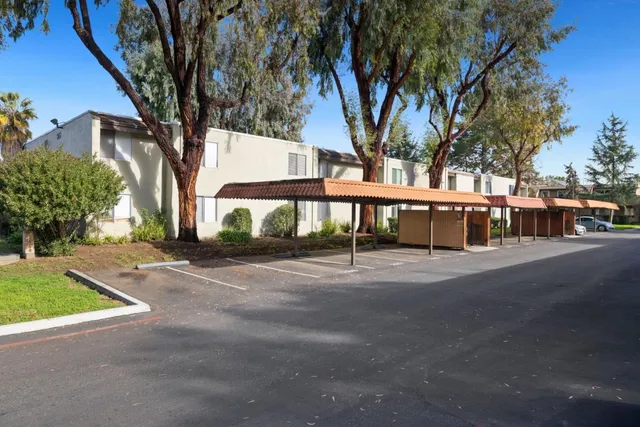 a view of a trees with a yard