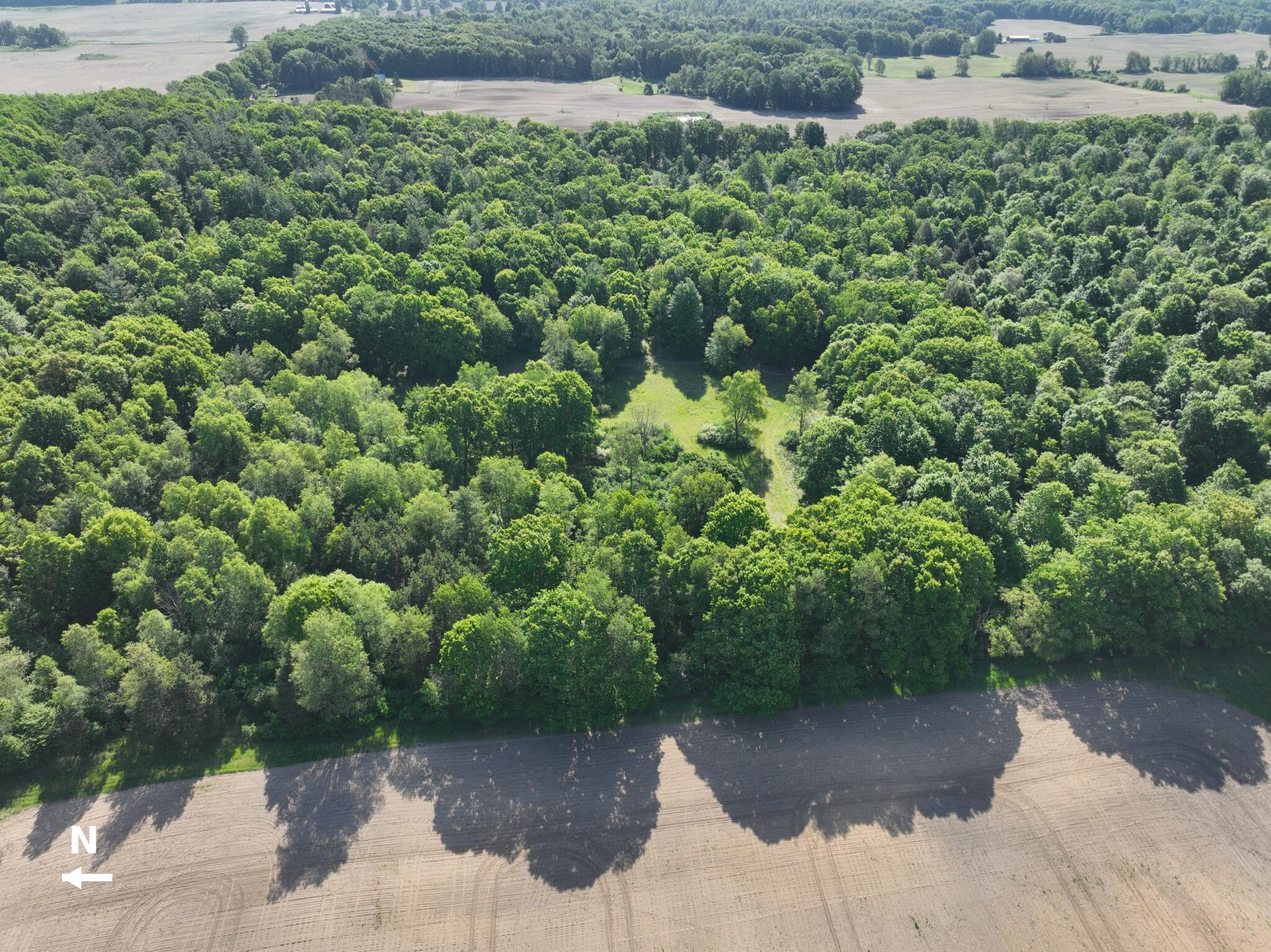 3685 Cypress Road Blanchard, MI 49310 - Photo 31 of 32 North_to_Left_Final
