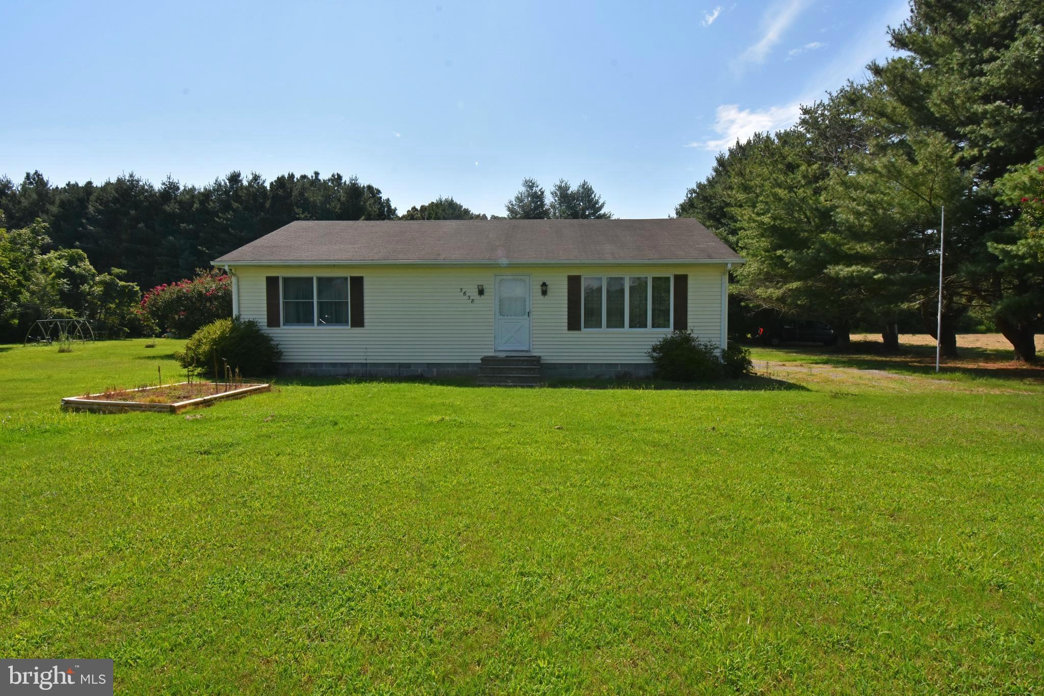 5638 Galestown - Reliance Road Rhodesdale, MD 21659 - Photo 1 of 32