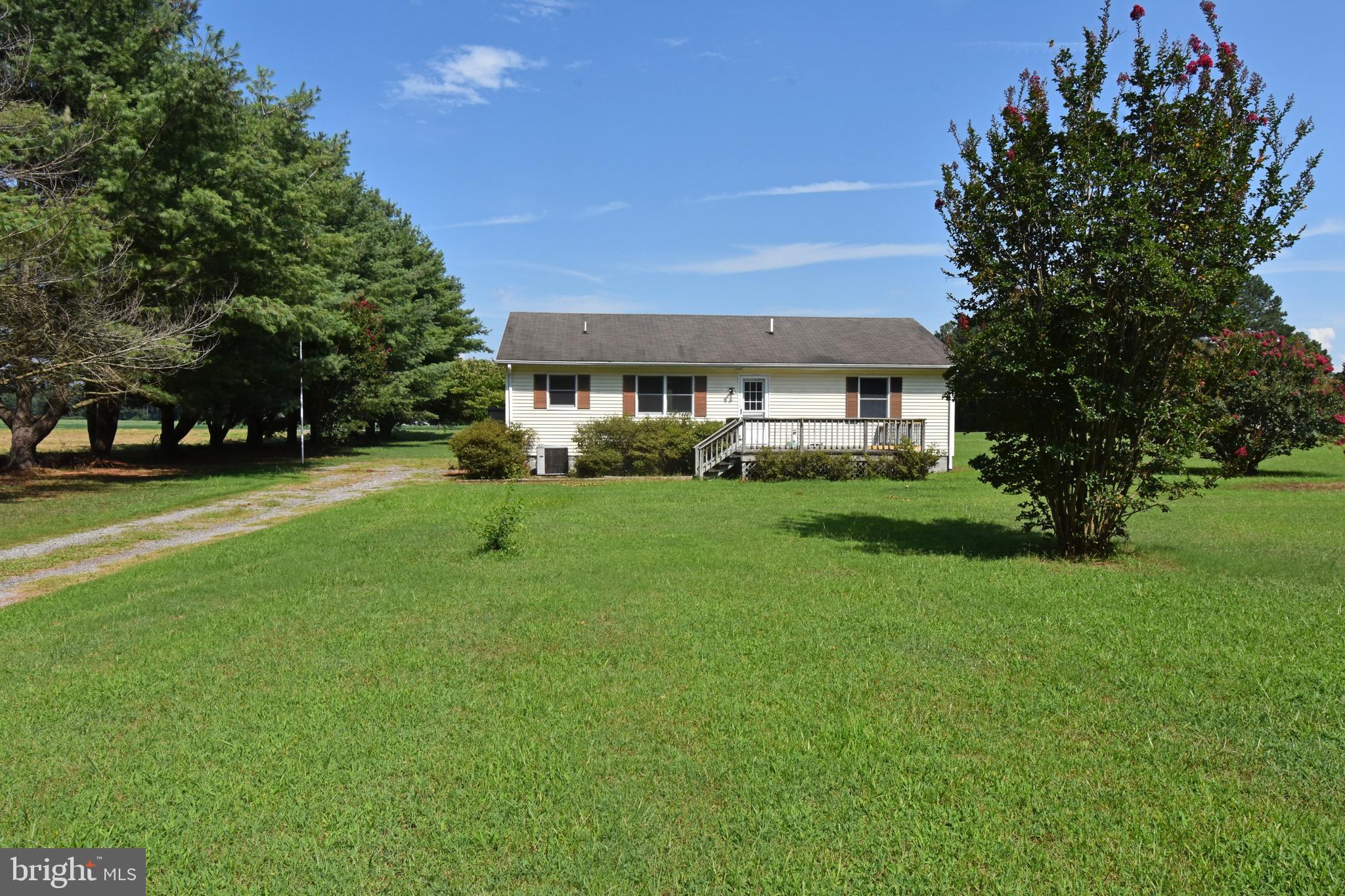 5638 Galestown - Reliance Road Rhodesdale, MD 21659 - Photo 3 of 32