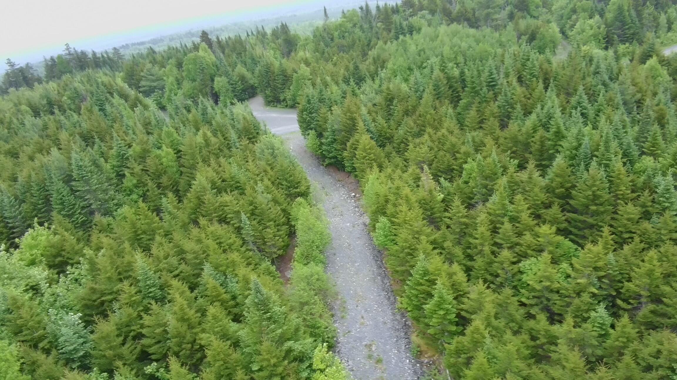 14 Alpine Ridge Greenville, ME 04441 - Photo 5 of 25 3982656_100DRONE_SING0443