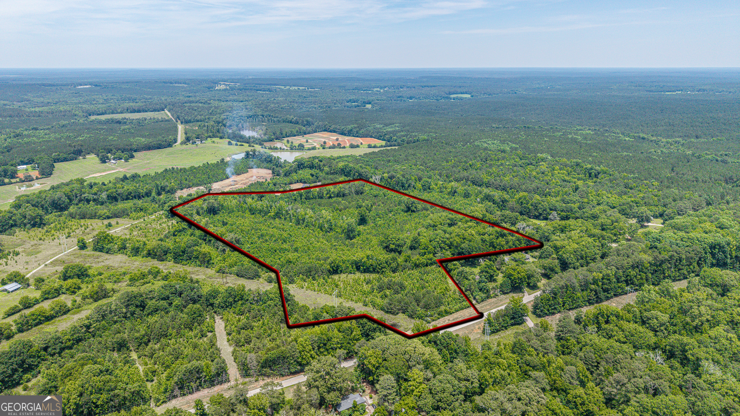 0 Washington Highway Union Point, GA 30669 - Photo 8 of 22