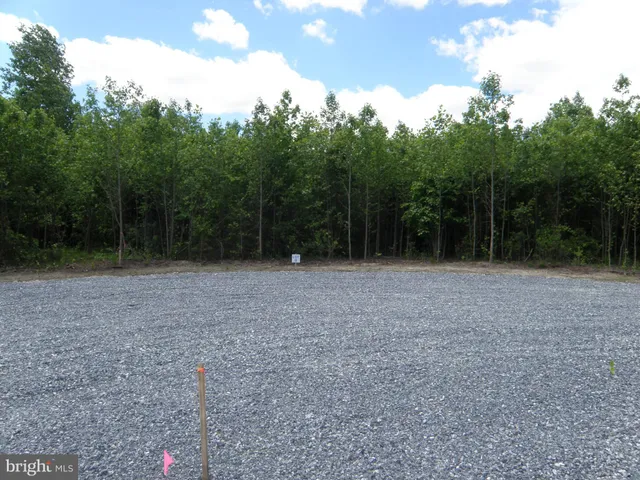 a view of backyard with green space