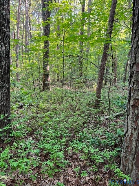 16117 West Patrick Henry Road Montpelier, VA 23192 - Photo 1 of 10