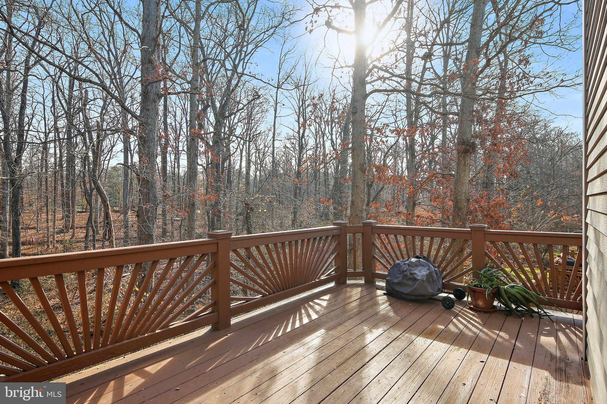 12227 Bare Bush Path Columbia, MD 21044 - Photo 19 of 35 Deck off Kitchen