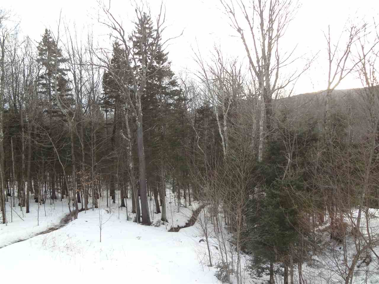 297 Vermont Rte 100, Unit A West Dover, VT 05356 - Photo 20 of 23 Gallery Image 20