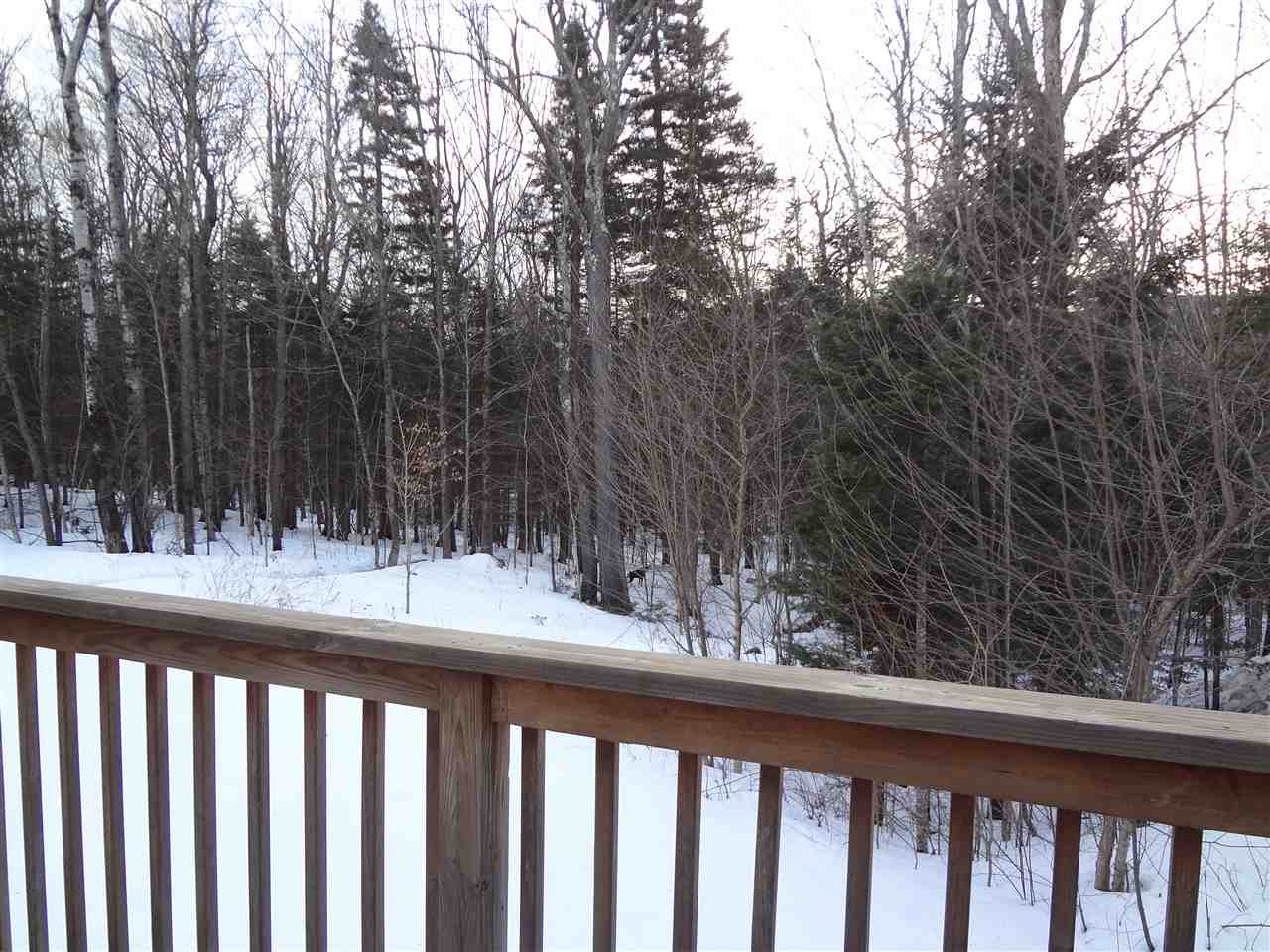 297 Vermont Rte 100, Unit A West Dover, VT 05356 - Photo 22 of 23 Gallery Image 22