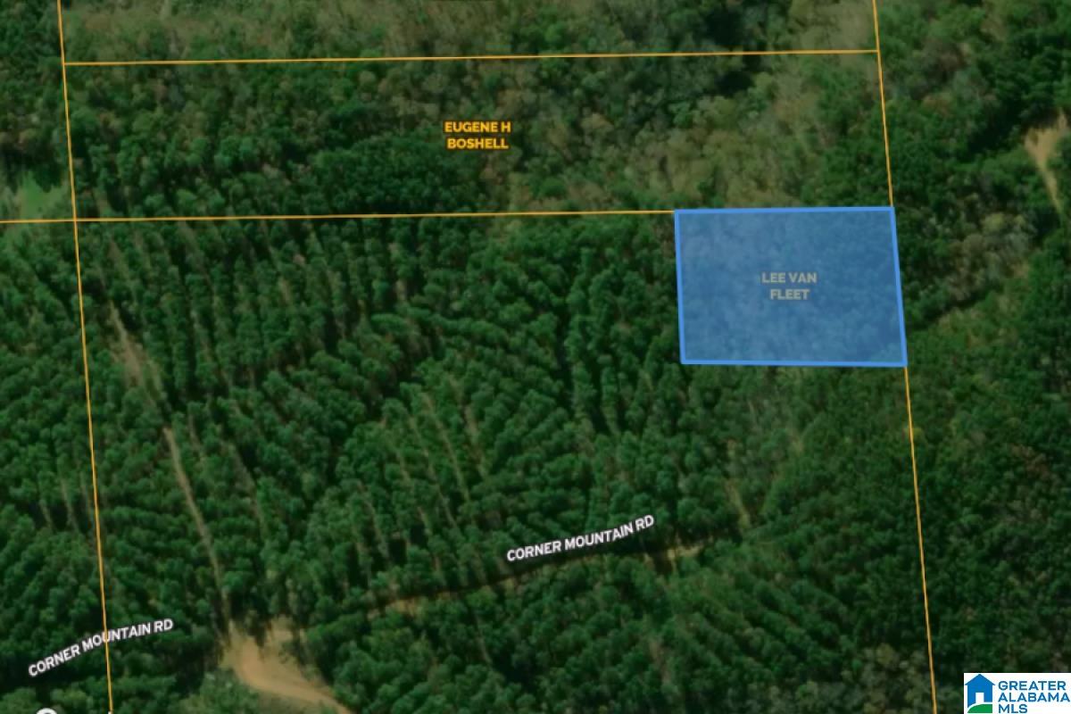 Corner Mountain Road Carbon Hill, AL 35549 - Photo 2 of 8